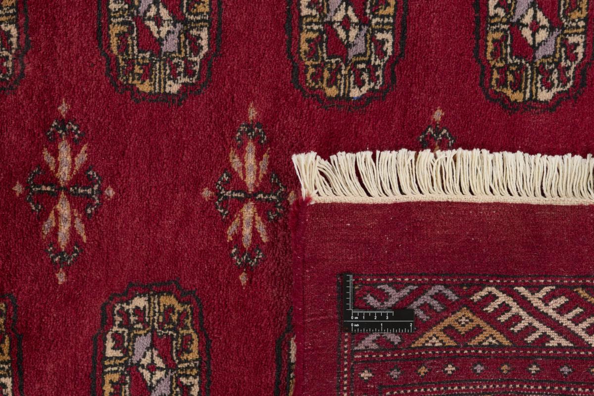 Pakistański Buchara 3ply - 1