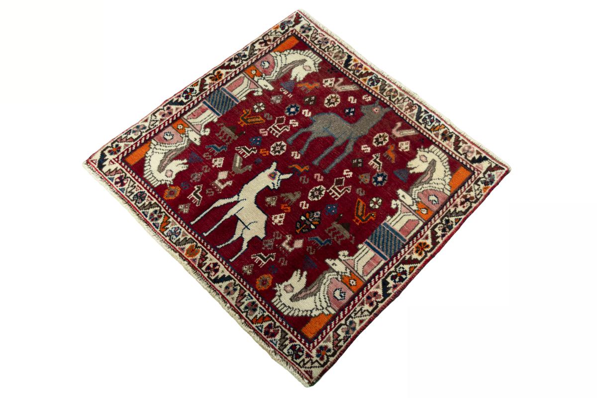 Shiraz - 1