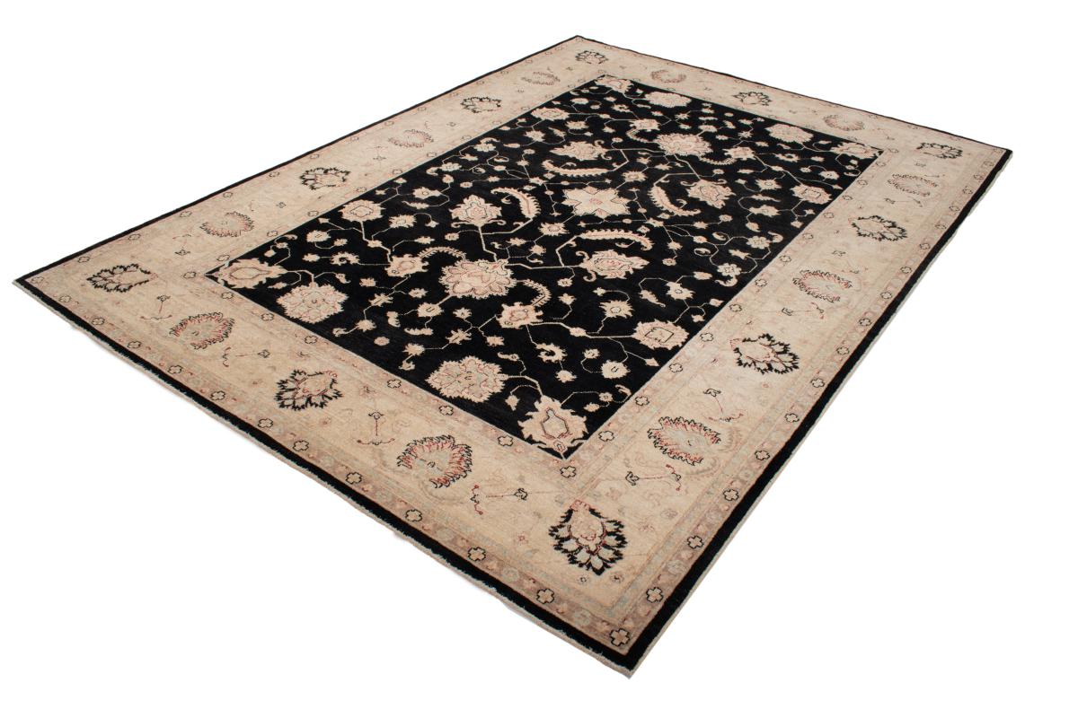 Ziegler Farahan - 1