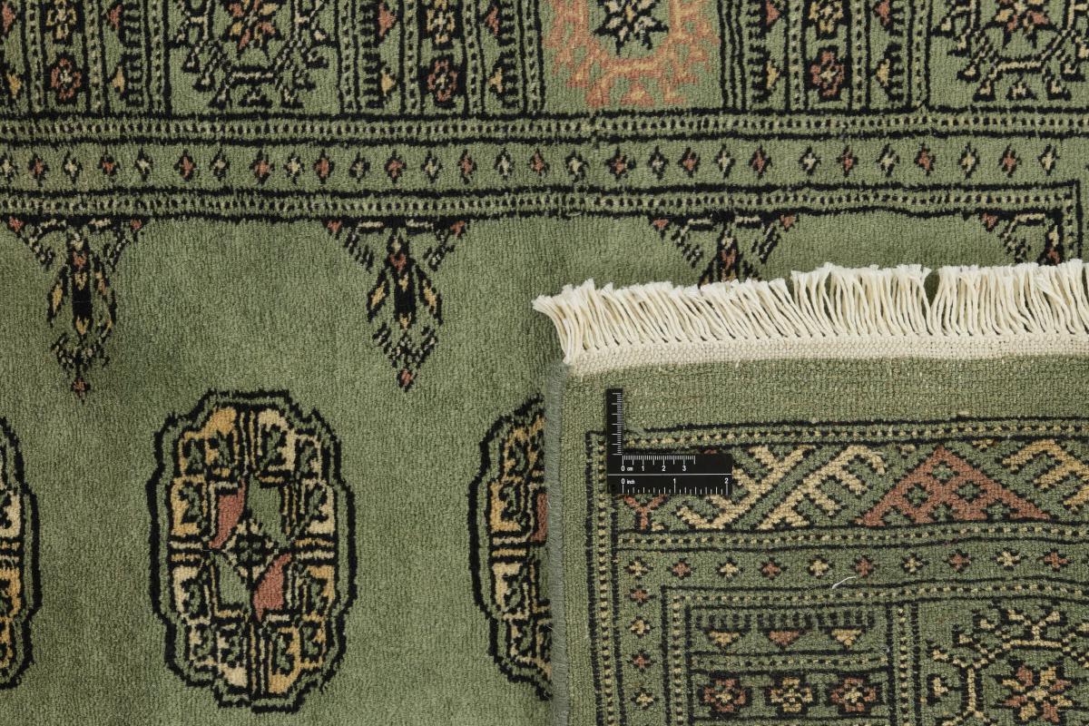 Pakistan Buchara 3ply - 1