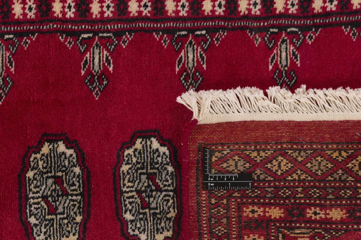 Pakistan Buchara 2ply - 1