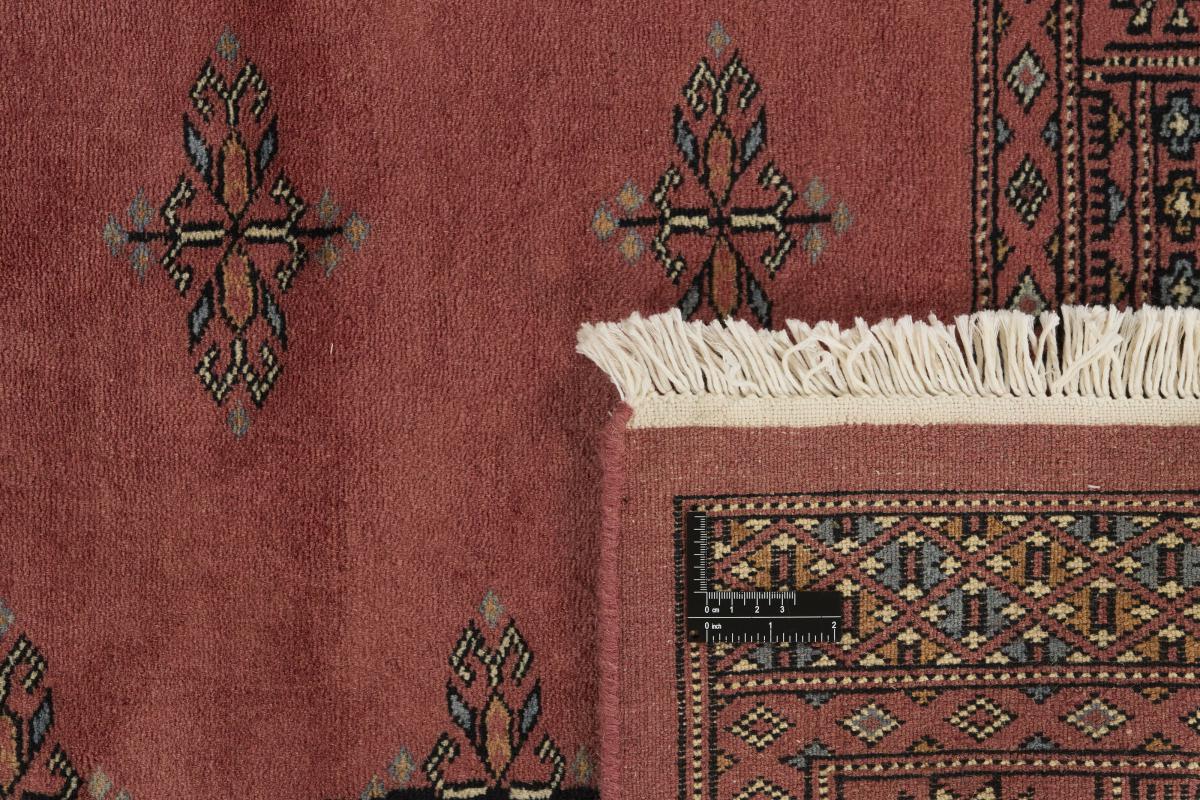 Pakistan Buchara 3ply - 1