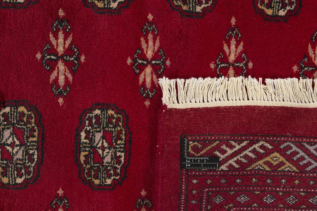 Pakistański Buchara 3ply - 1