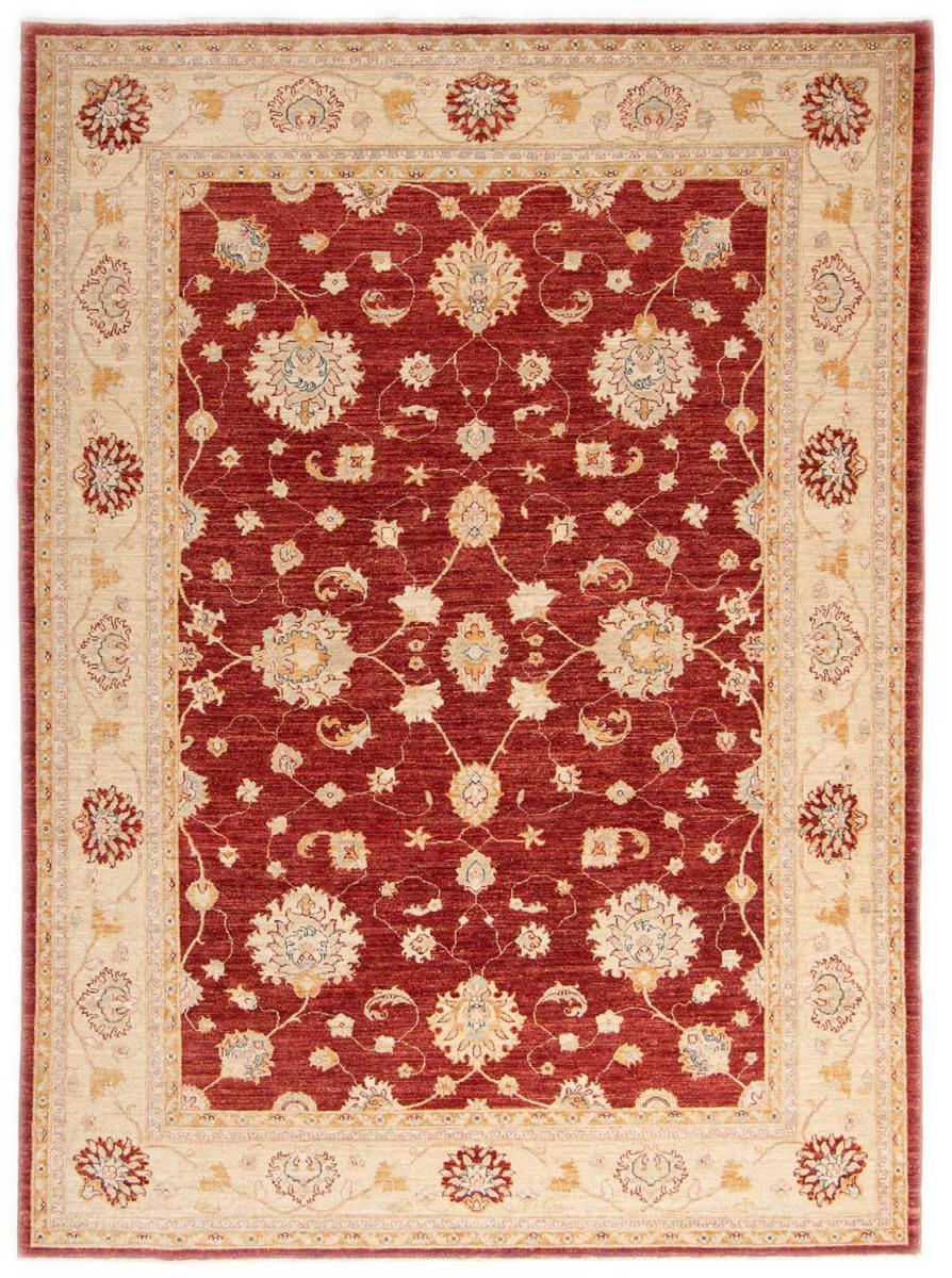 Pakistani rug Ziegler Farahan 297x211 297x211, Persian rug Hand-knotted