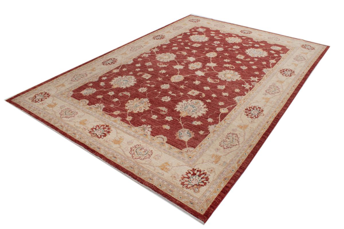 Ziegler Farahan - 1