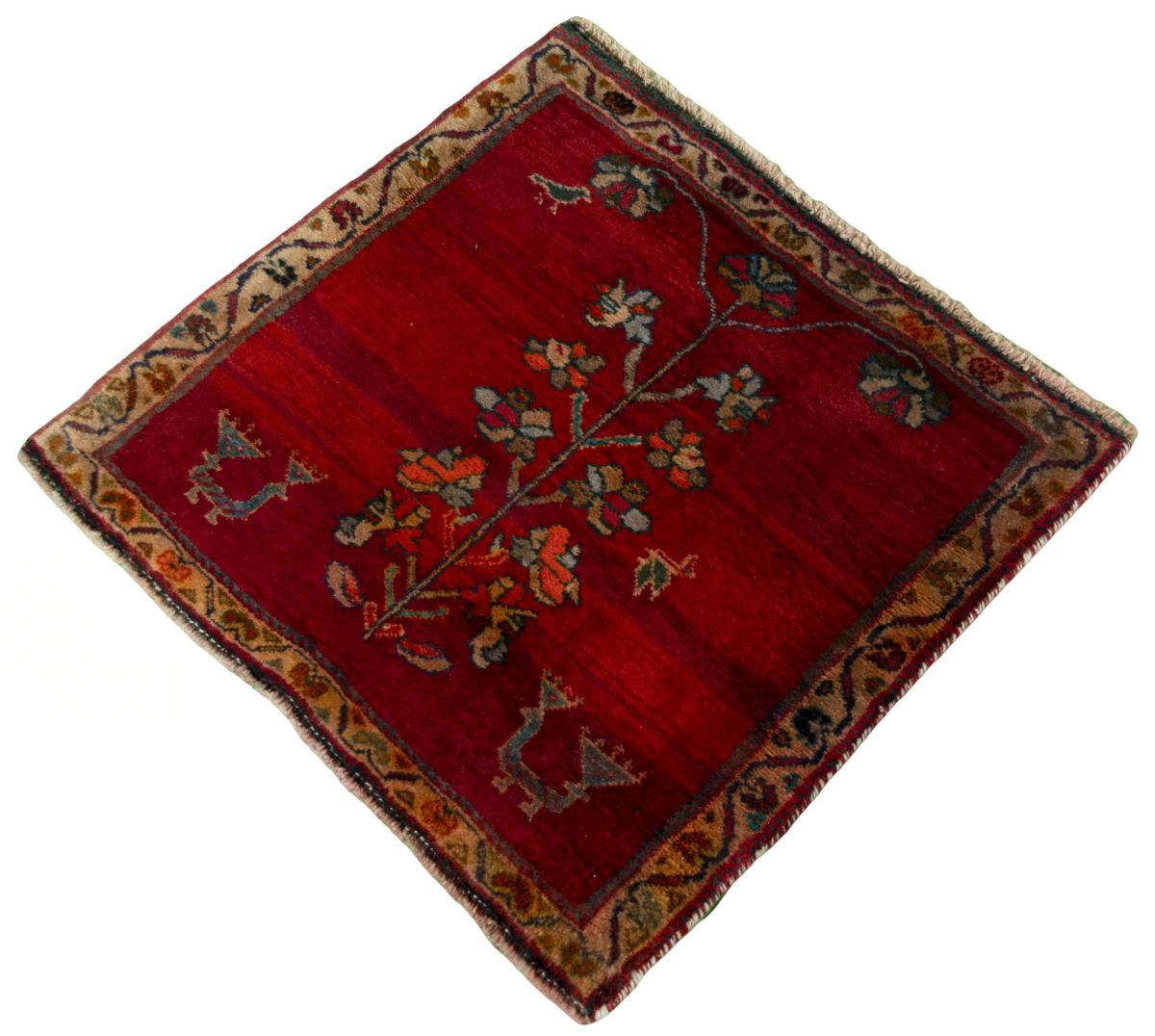 Shiraz - 1