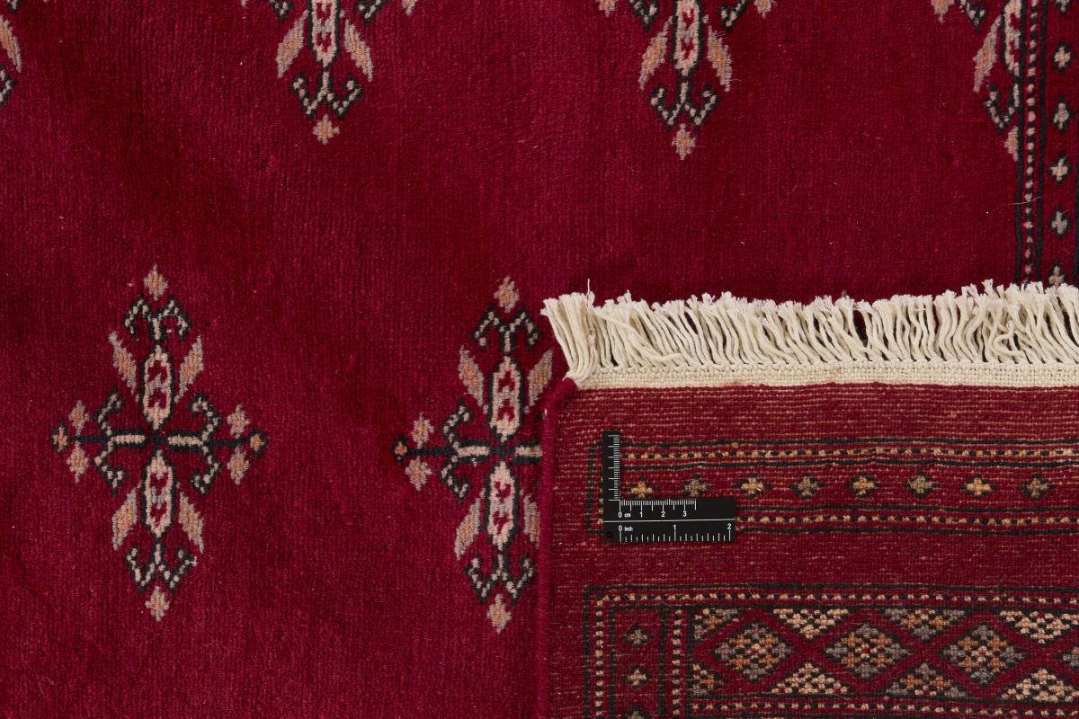Pakistan Buchara 2ply - 1
