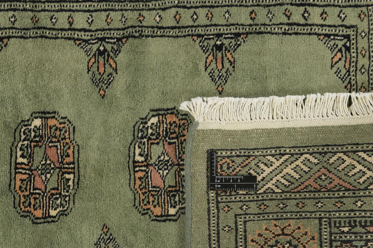 Pakistan Buchara 3ply - 1