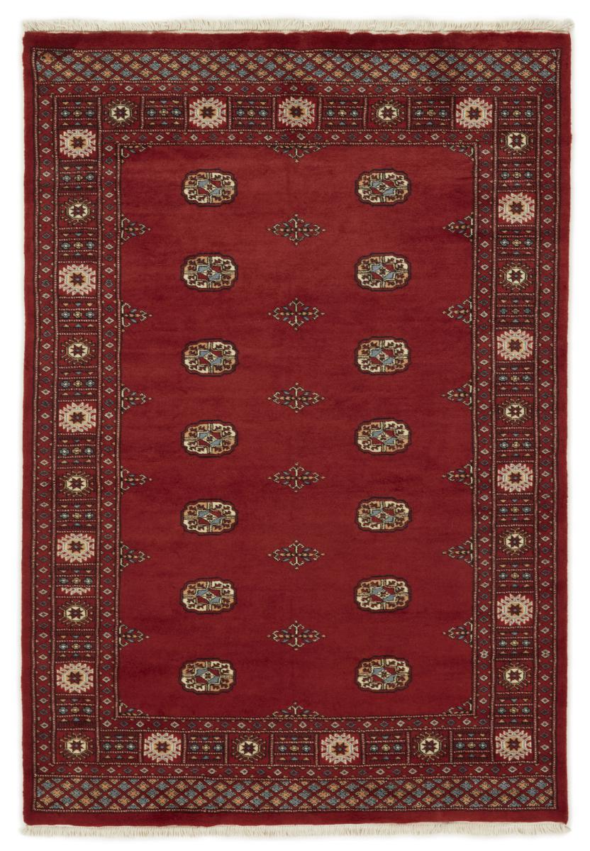 Pakistanilainen matto Pakistan Buchara 3ply 205x141 205x141, Persialainen matto Solmittu käsin