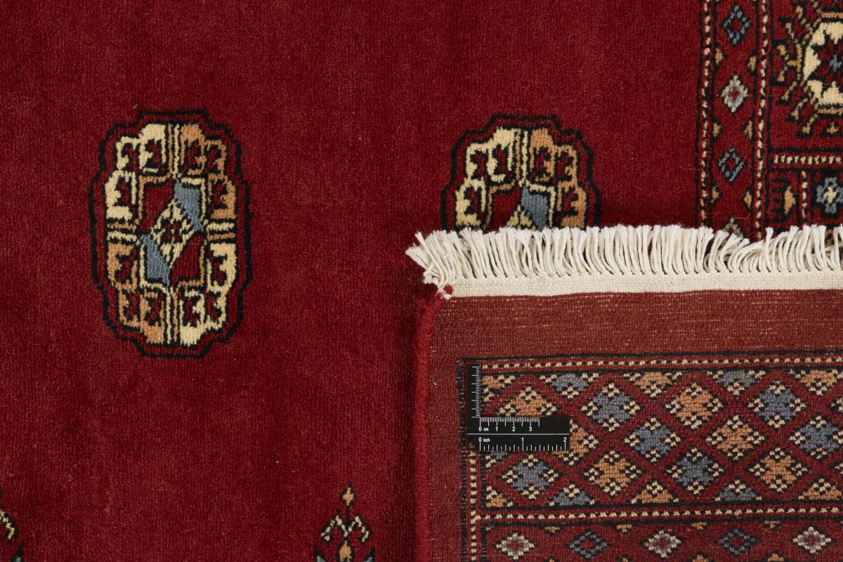 Pakistan Buchara 3ply - 1