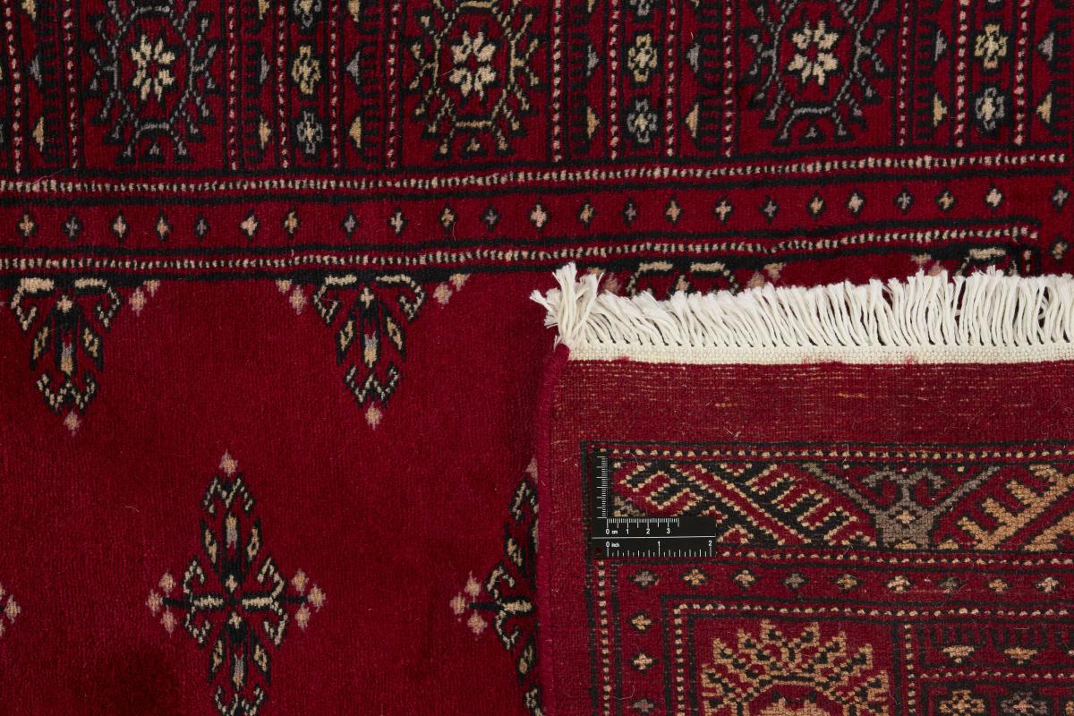 Pakistan Buchara 3ply - 1