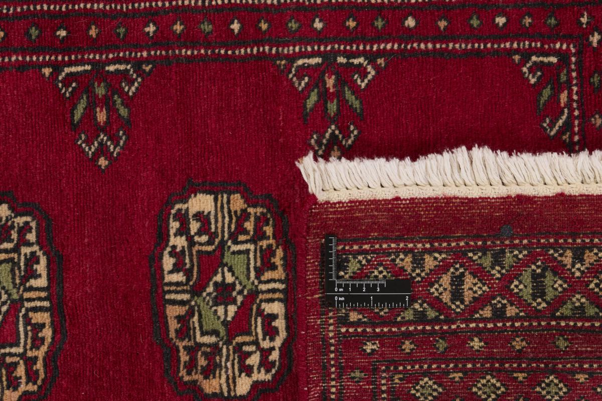 Pakistan Buchara 2ply - 1