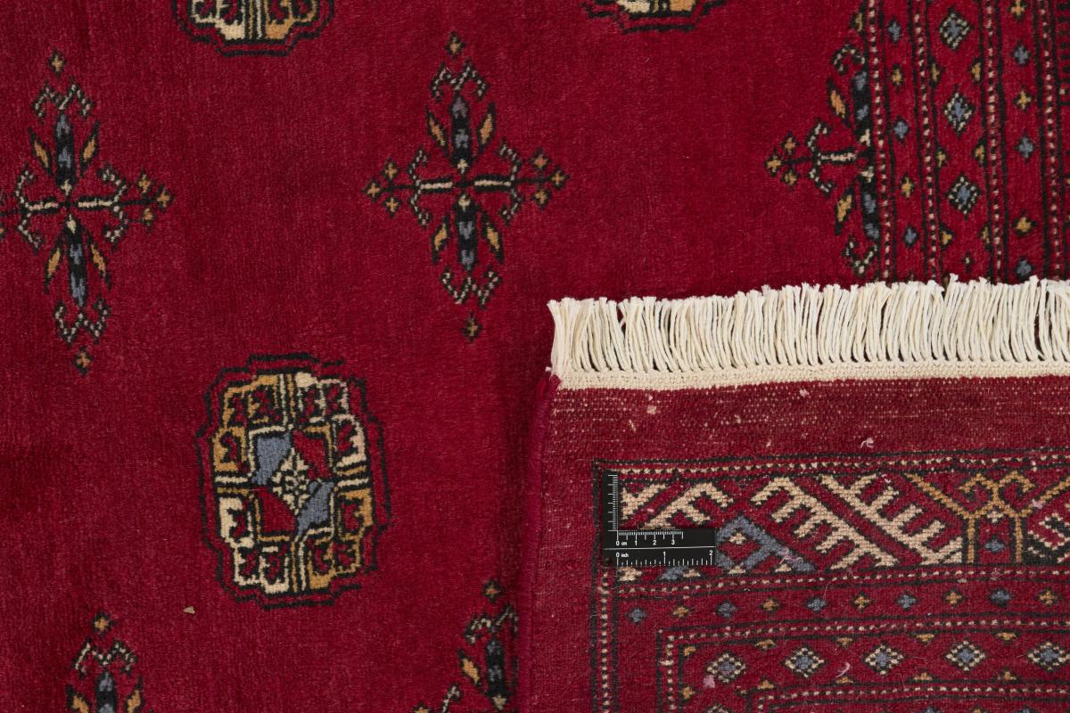 Pakistański Buchara 3ply - 1