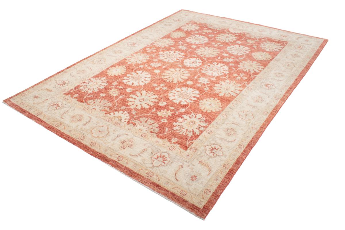 Ziegler Farahan - 1
