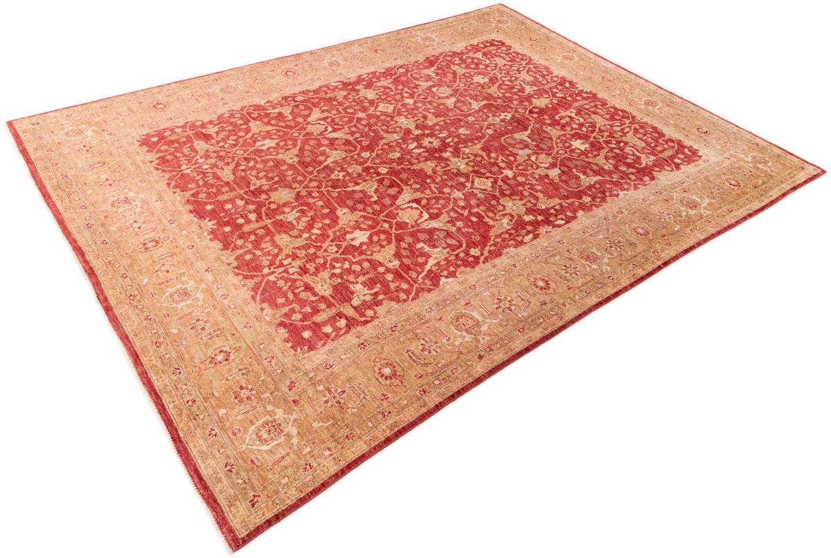 Ziegler Farahan - 1