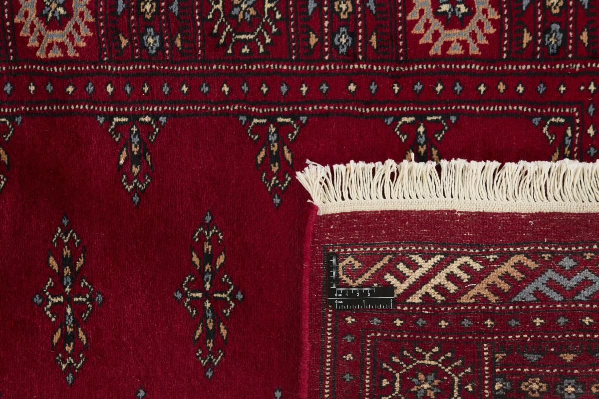 Pakistan Buchara 3ply - 1