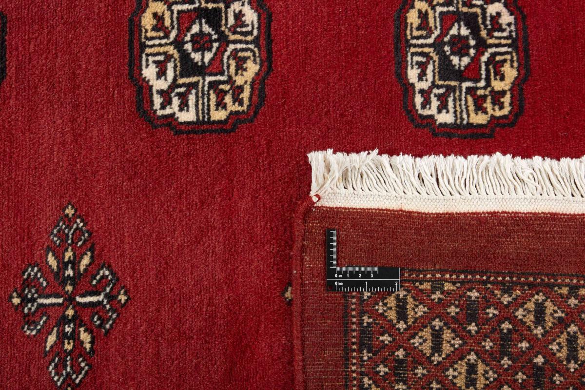 Pakistan Buchara 2ply - 1
