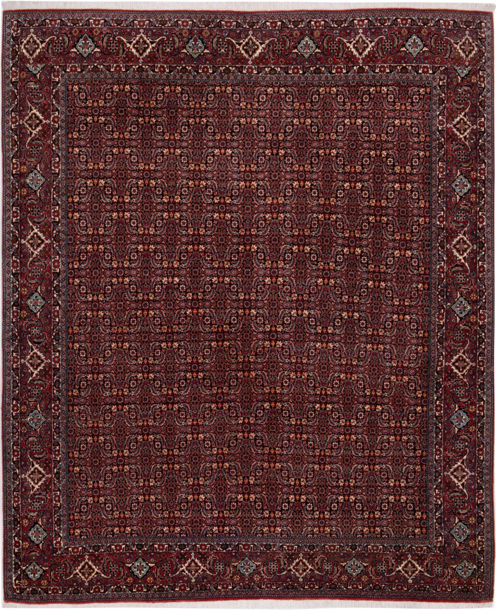 Persian Rug Bidjar 238x196 238x196, Persian Rug Knotted by hand