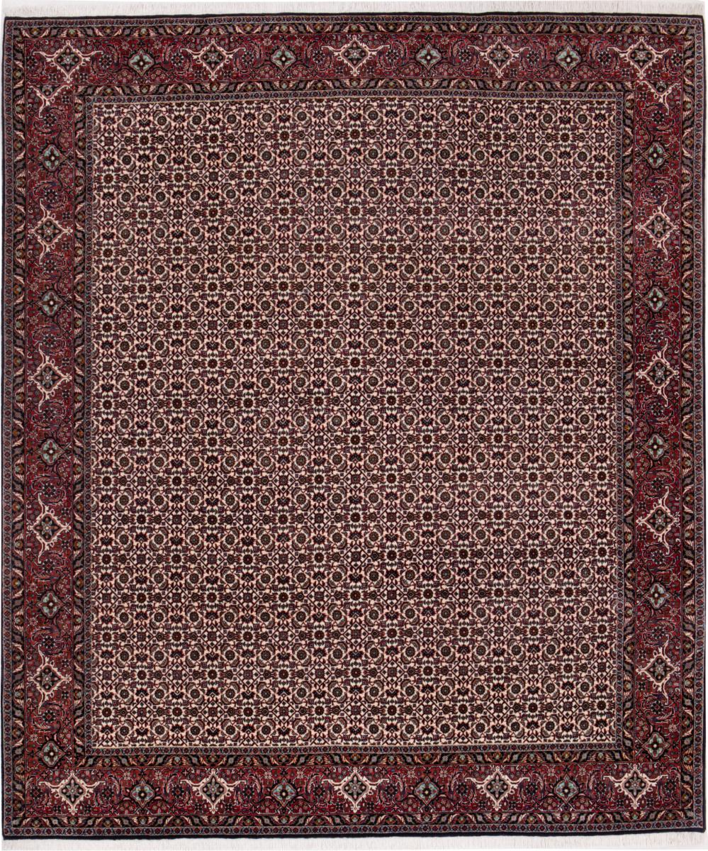 Persian Rug Bidjar 251x209 251x209, Persian Rug Knotted by hand
