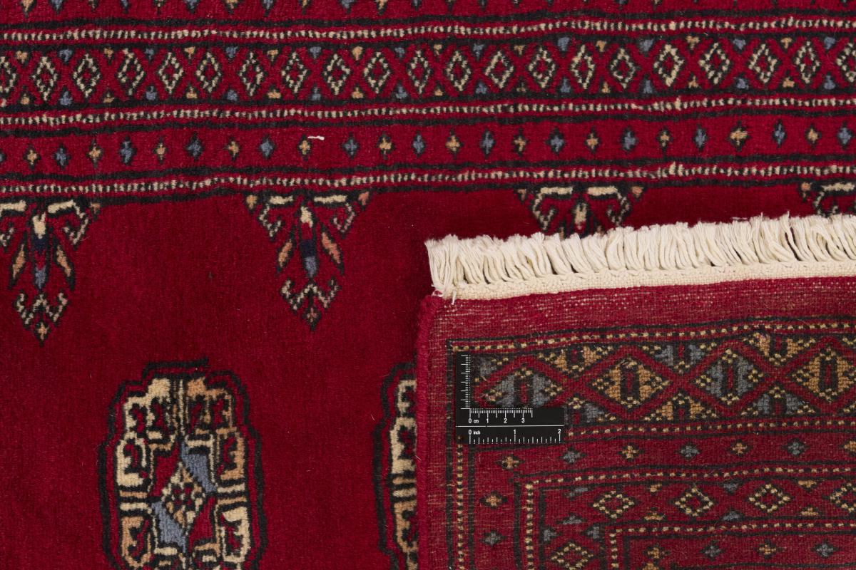 Pakistan Buchara 2ply - 1