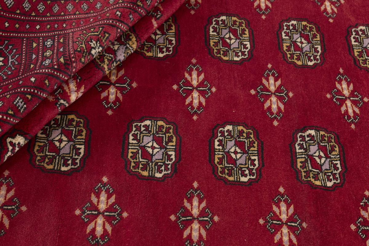 Pakistański Buchara 3ply - 1