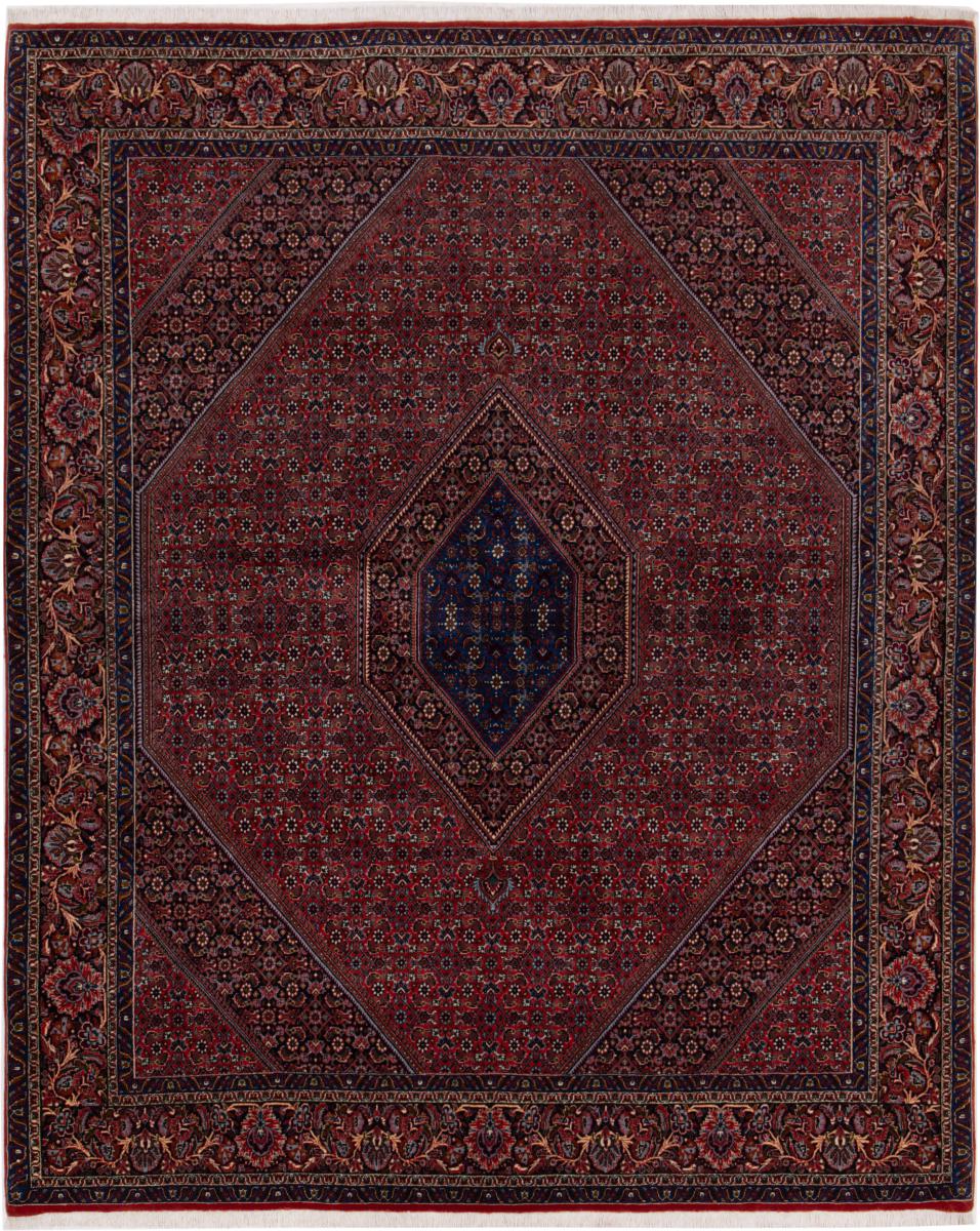 Persian Rug Bidjar 249x201 249x201, Persian Rug Knotted by hand