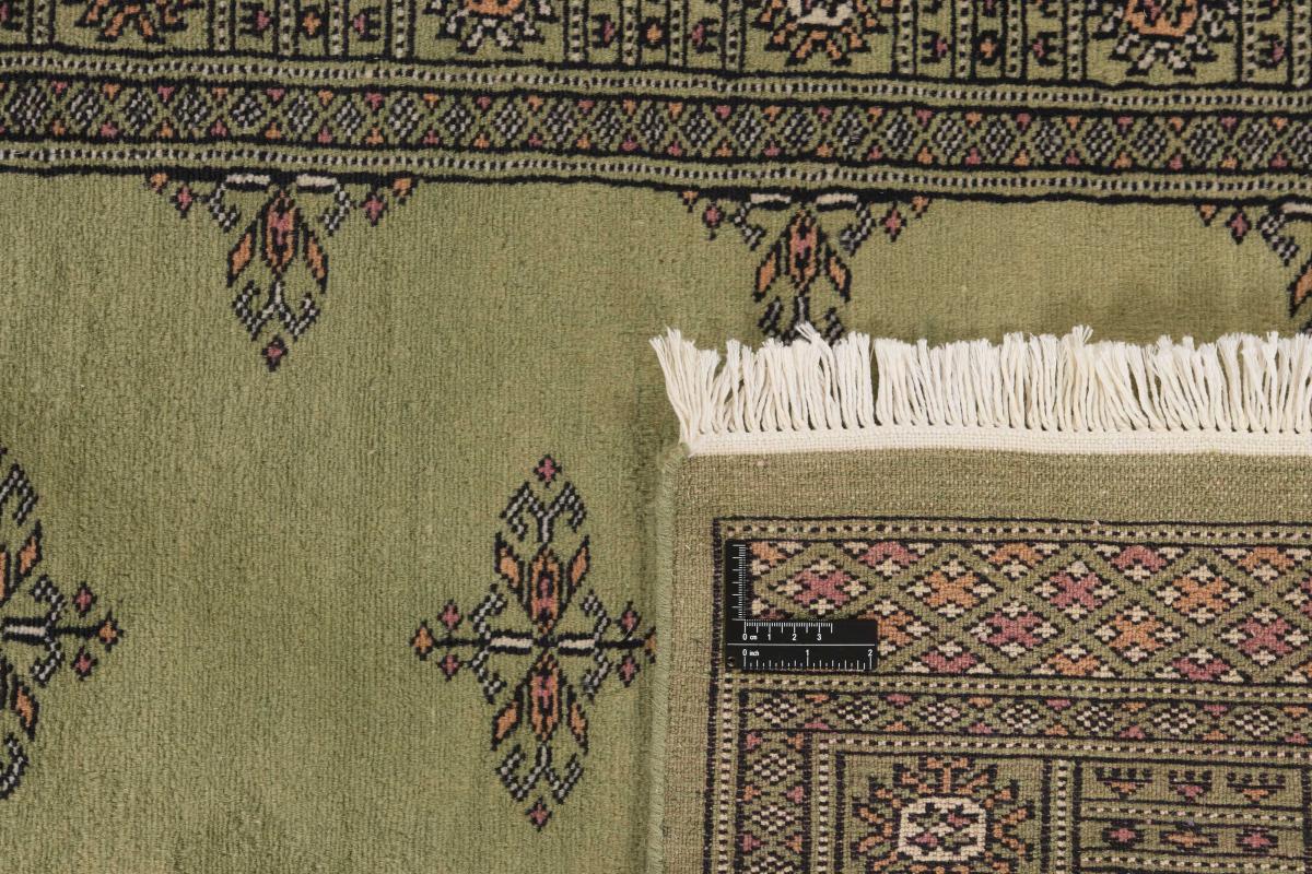 Pakistan Buchara 2ply - 1