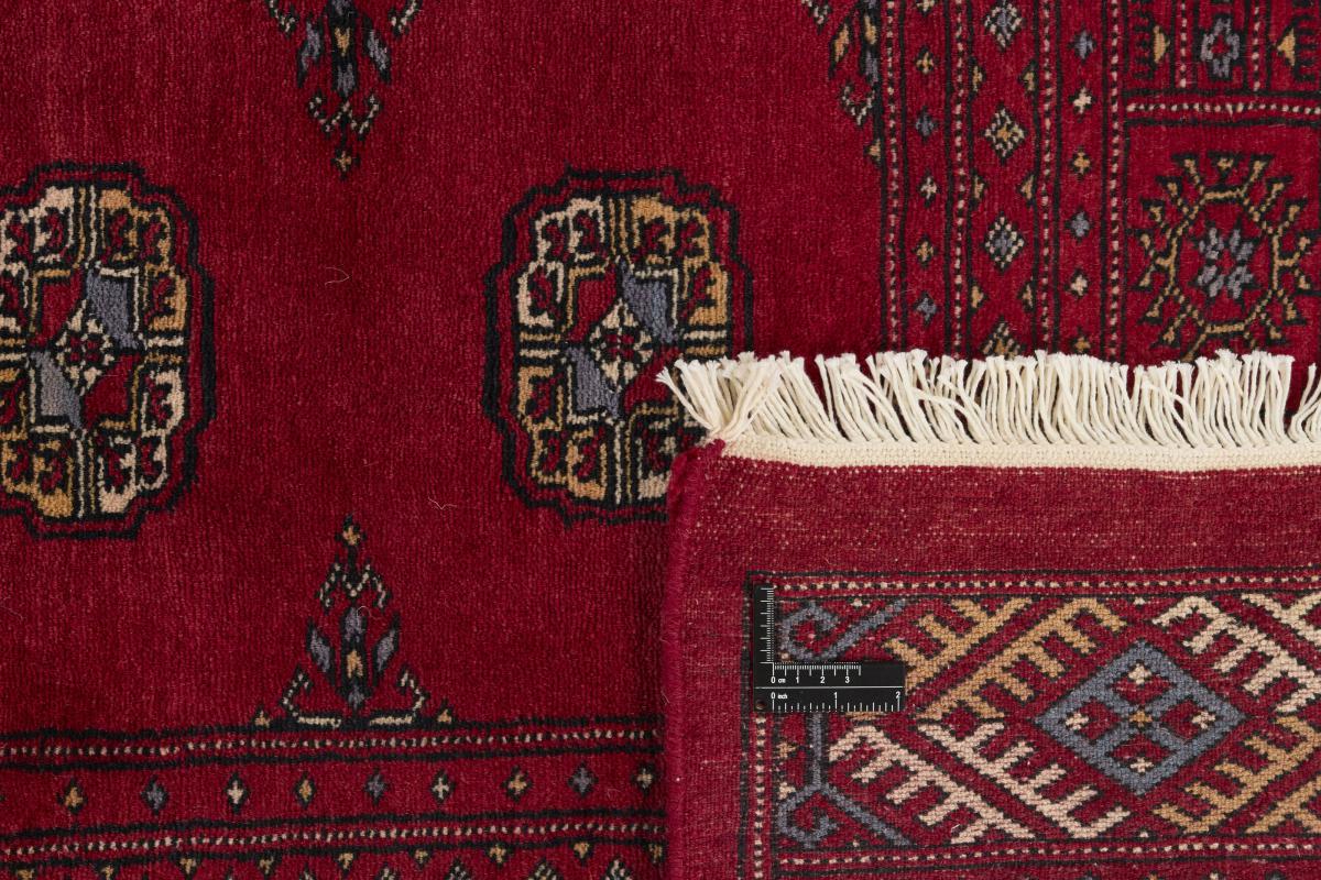 Pakistański Buchara 3ply - 1