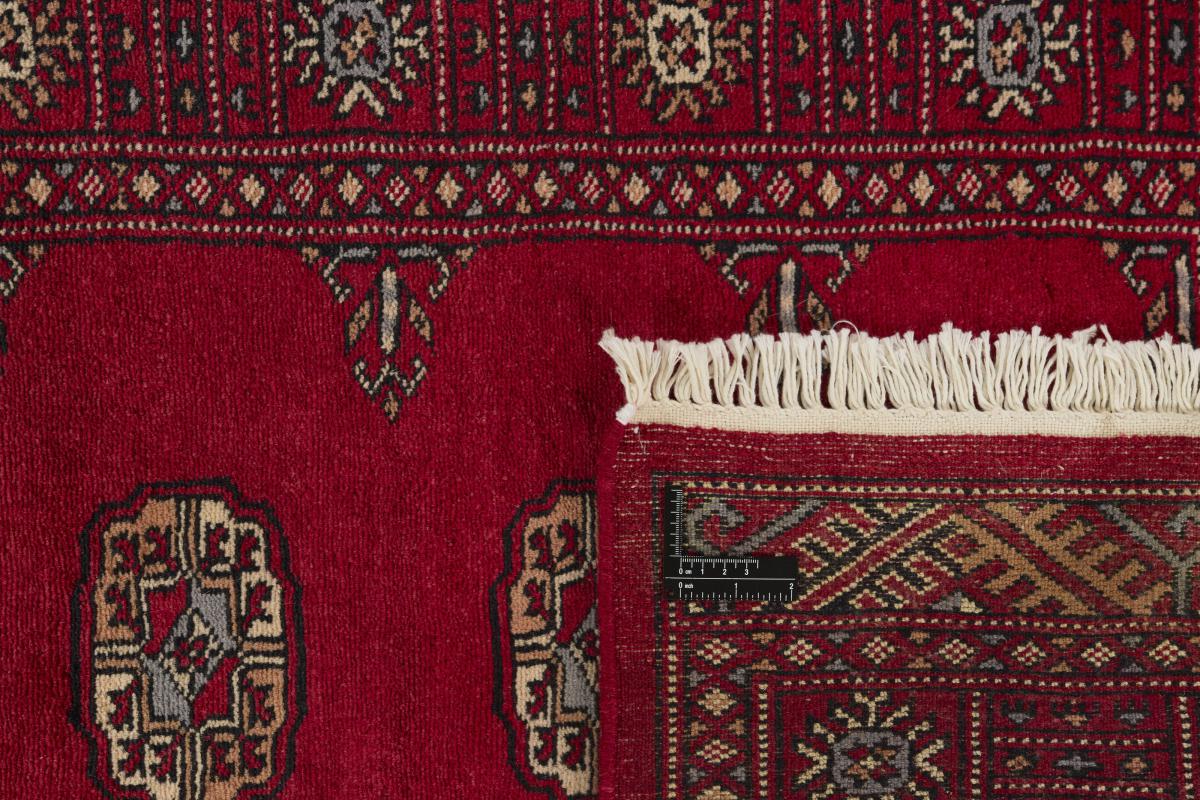 Pakistan Buchara 3ply - 1