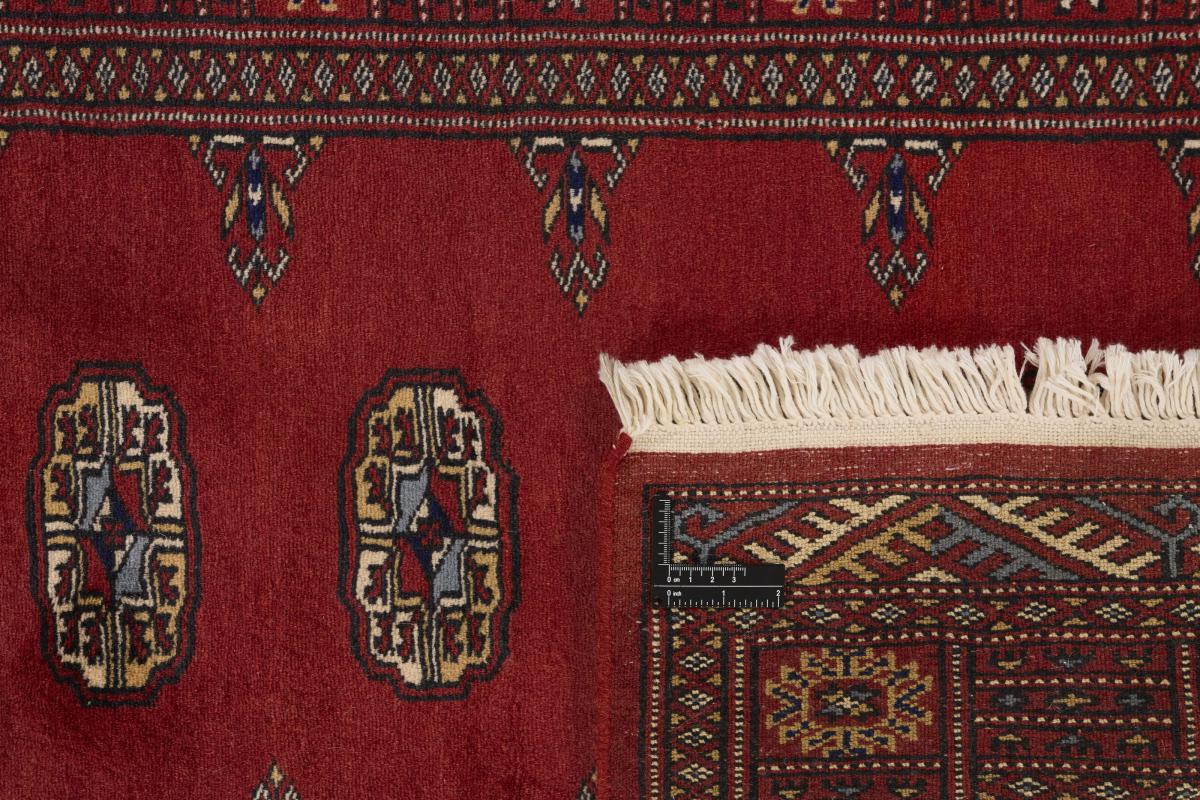 Pakistan Buchara 2ply - 1