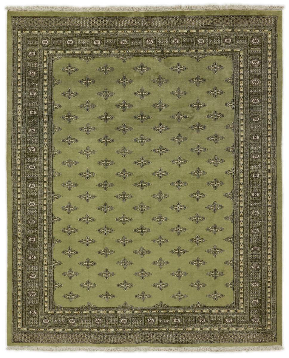 Alfombra pakistaní Pakistan Buchara 2ply 295x242 295x242, Alfombra persa Anudado a mano