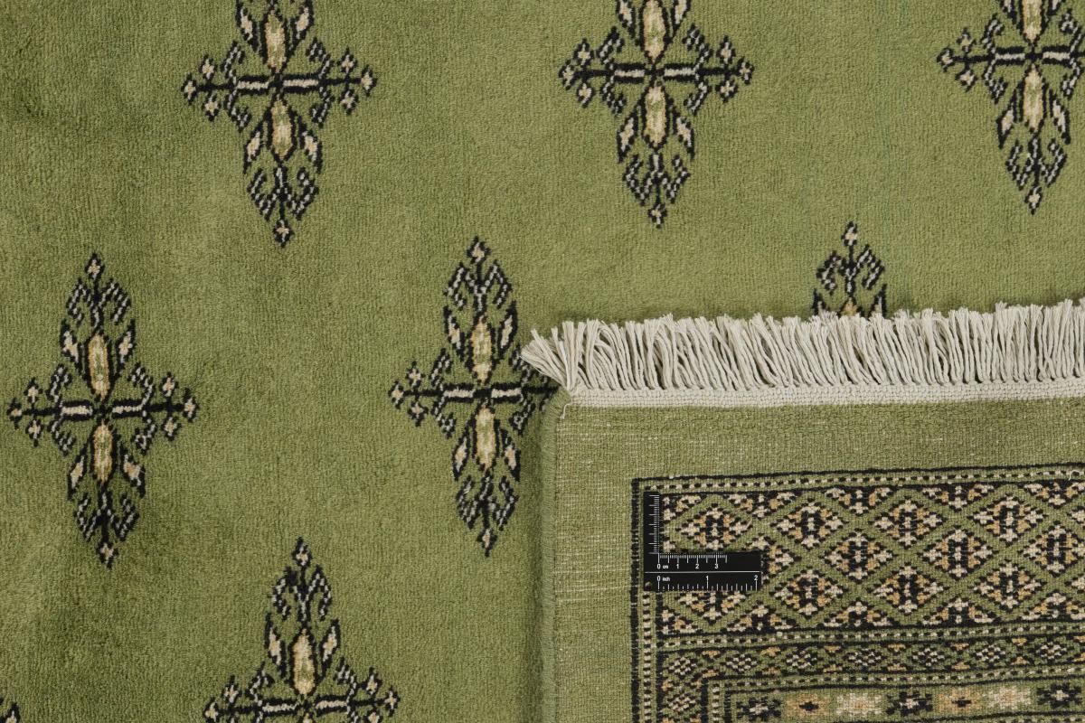 Pakistan Buchara 2ply - 1