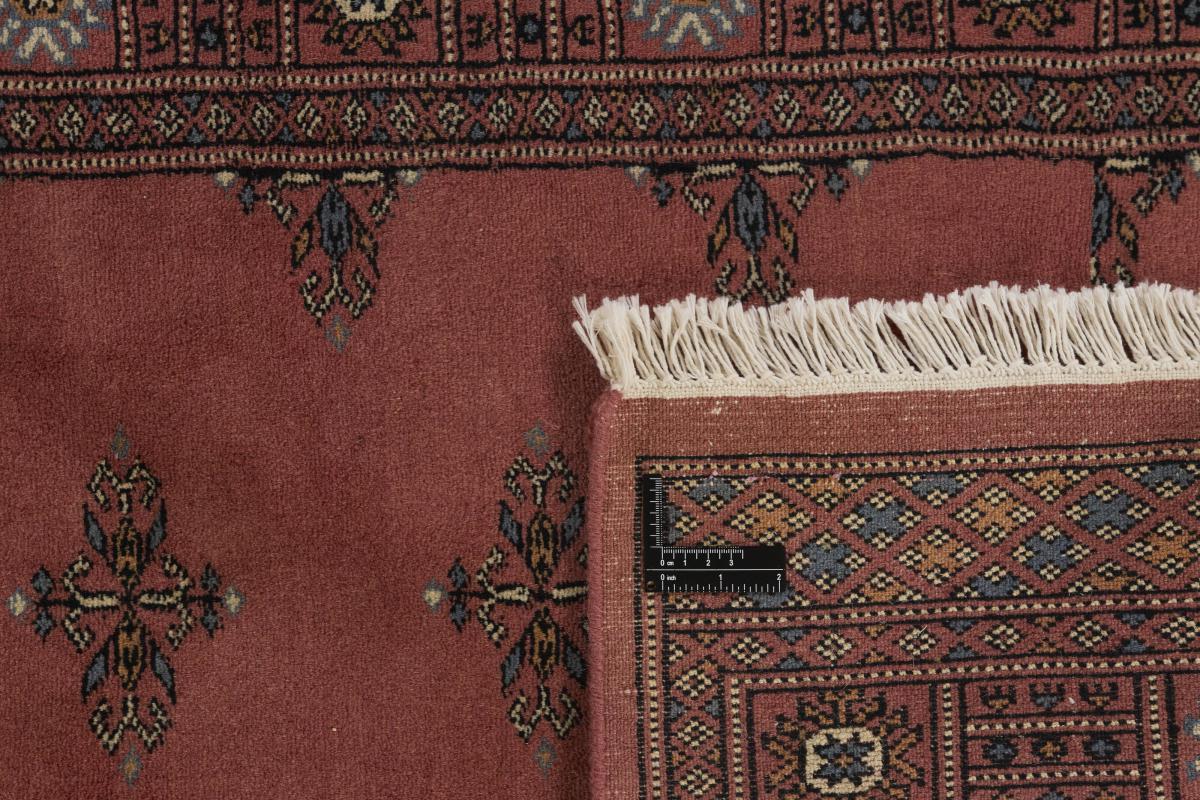 Pakistan Buchara 3ply - 1