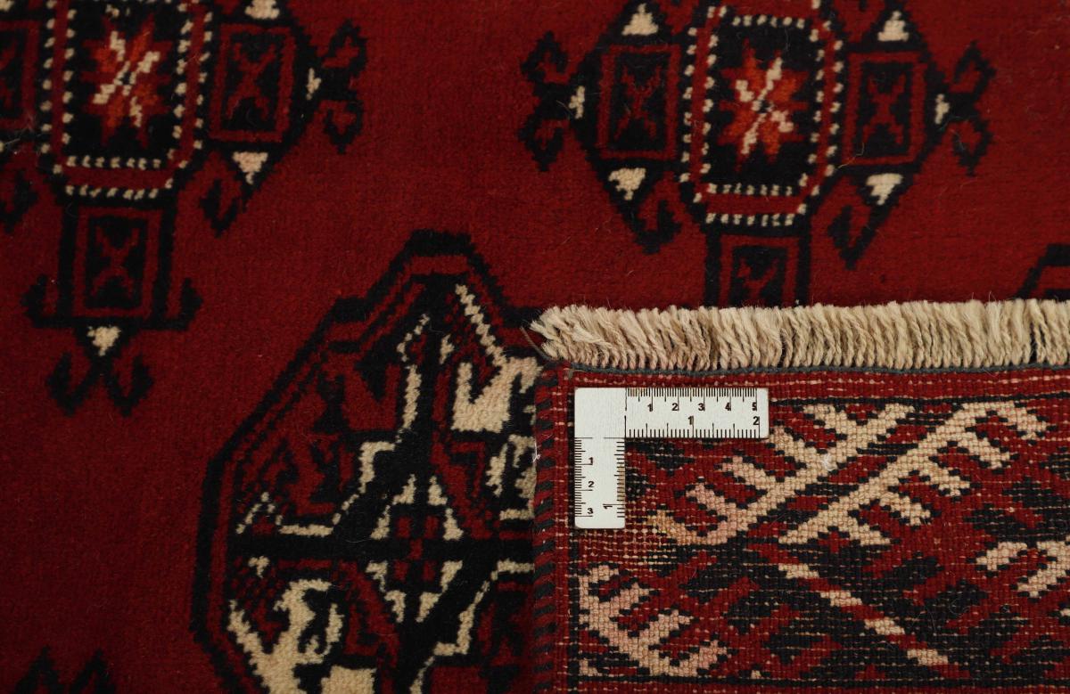 Turkaman - 1
