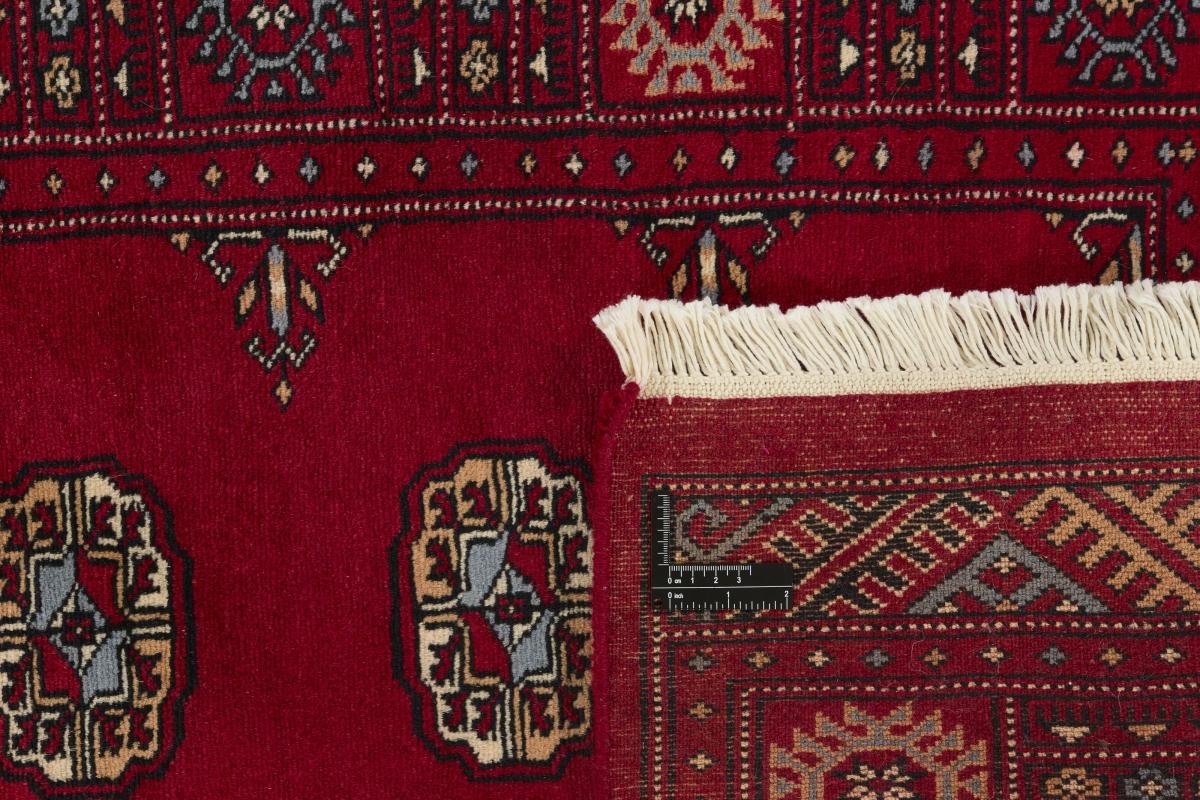 Pakistan Buchara 3ply - 1