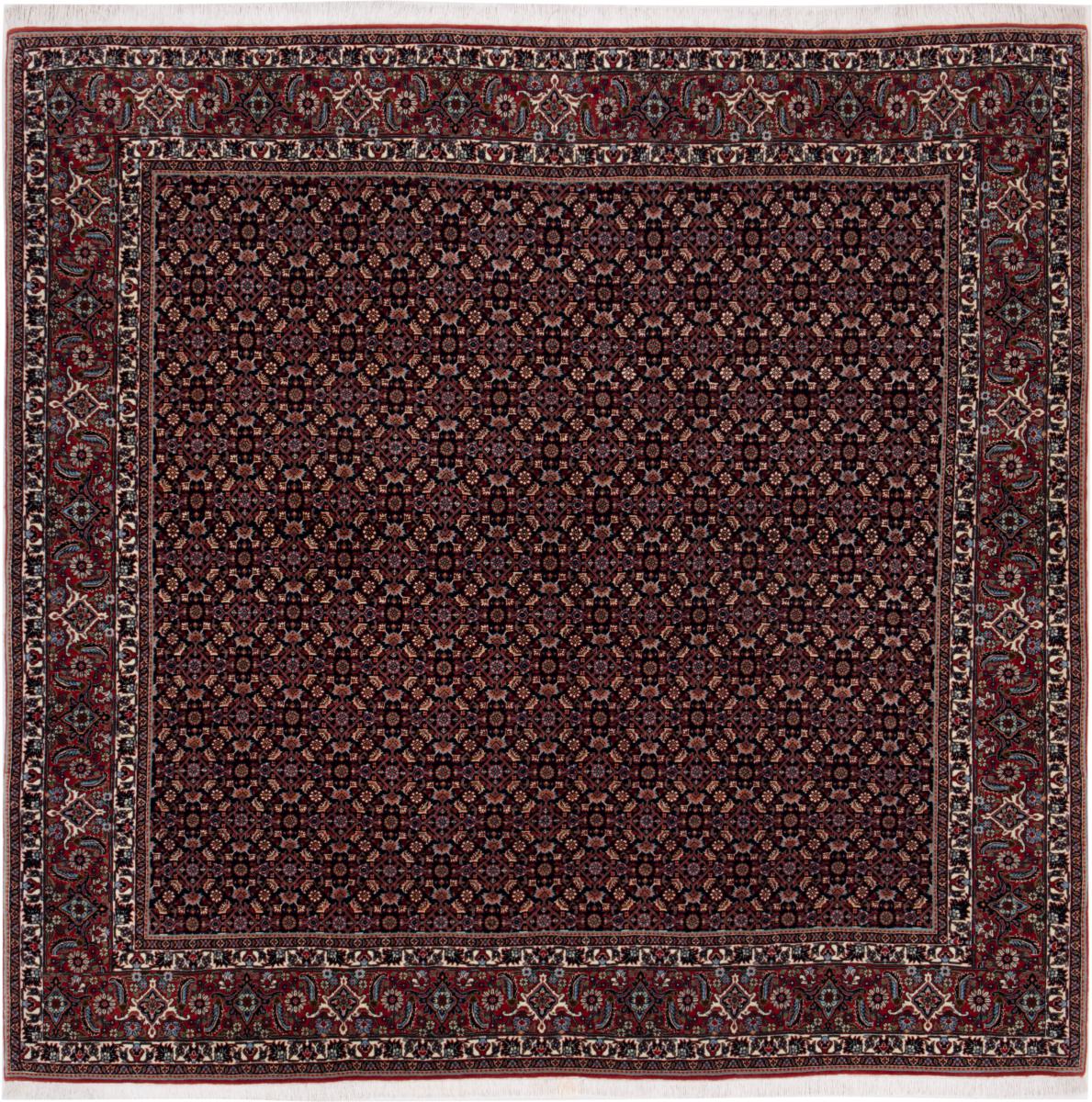 Persian Rug Bidjar 216x209 216x209, Persian Rug Knotted by hand