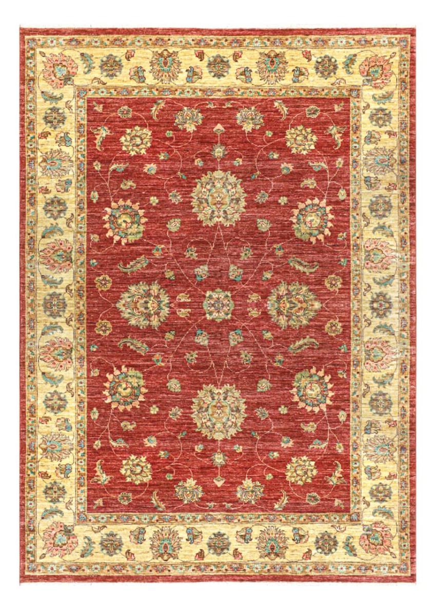 Pakistanilainen matto Ziegler Farahan 246x172 246x172, Persialainen matto Solmittu käsin