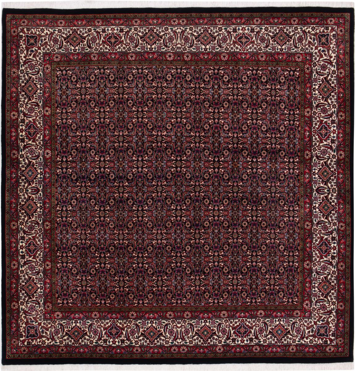 Tapis persan Bidjar 205x201 205x201, Tapis persan Noué à la main