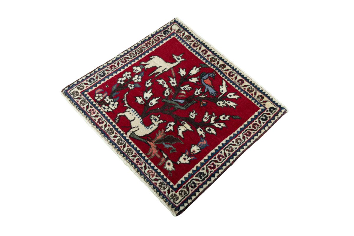 Shiraz - 1