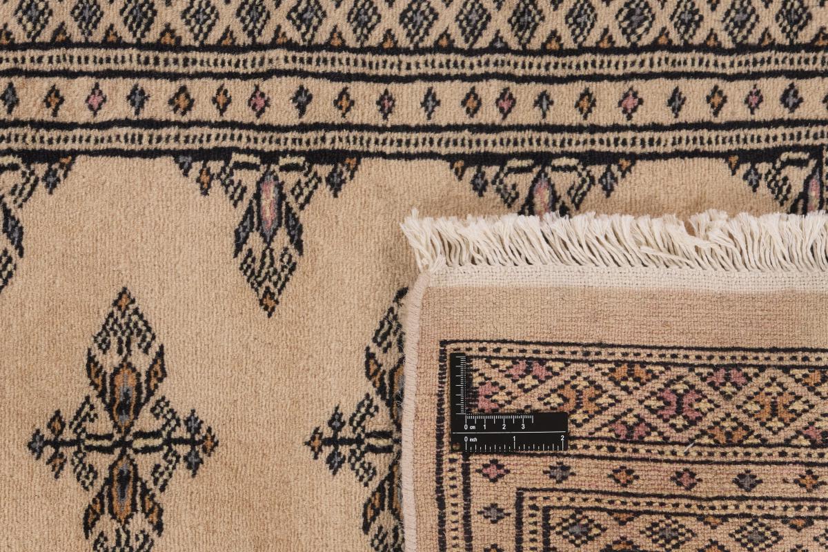 Pakistan Buchara 2ply - 1