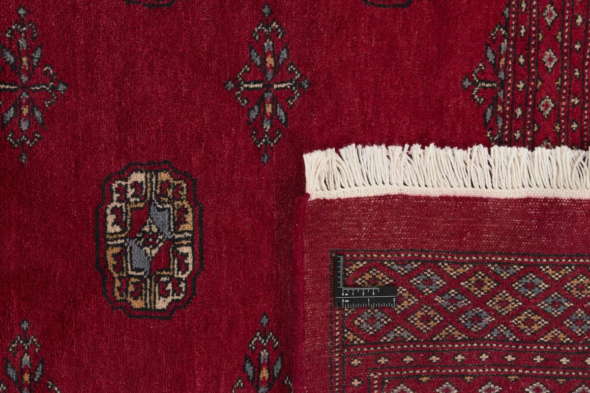 Pakistański Buchara 3ply - 1