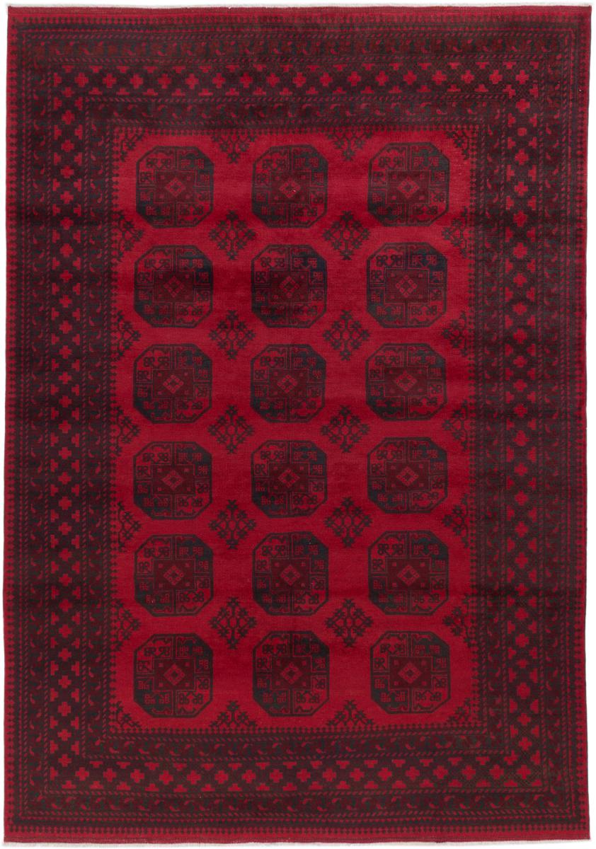 Afghan rug Afghan Akhche 9'7"x6'9" 9'7"x6'9", Persian Rug Knotted by hand