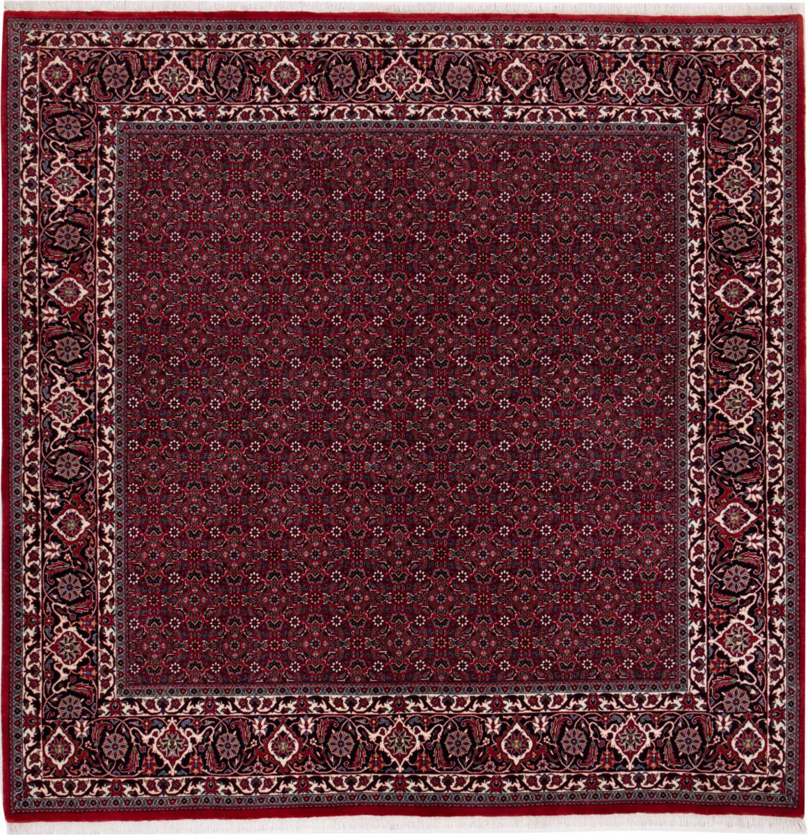 Tapis persan Bidjar 204x206 204x206, Tapis persan Noué à la main