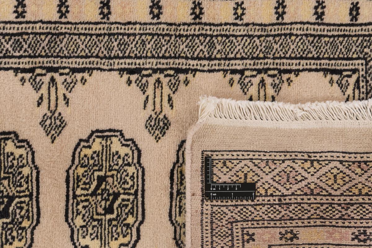 Pakistan Buchara 2ply - 1