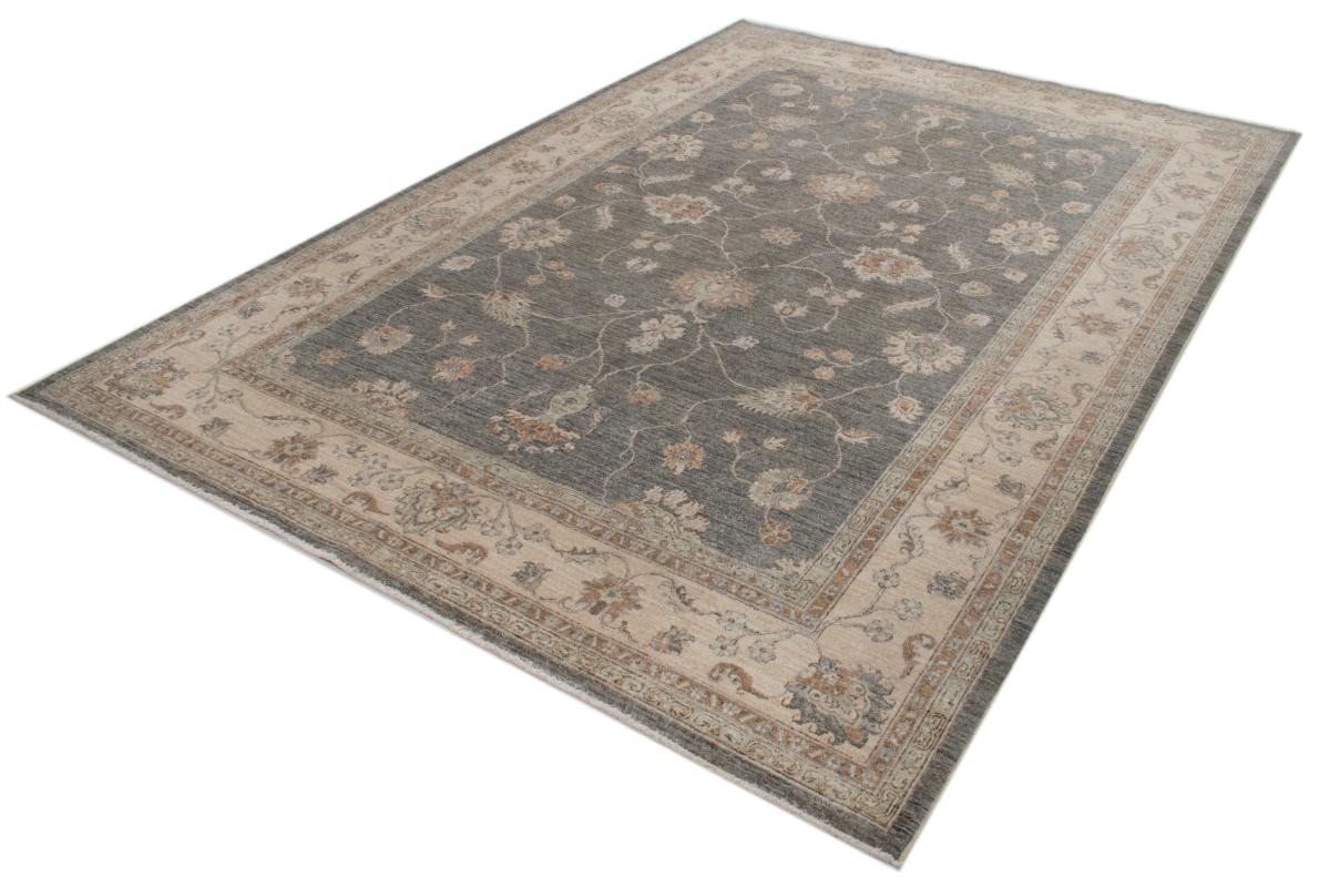 Ziegler Farahan - 1