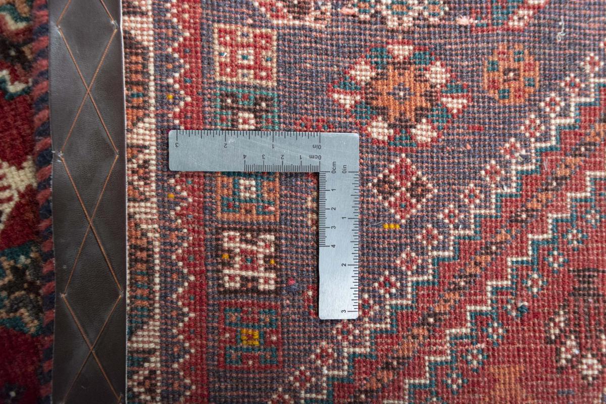 Shiraz - 1