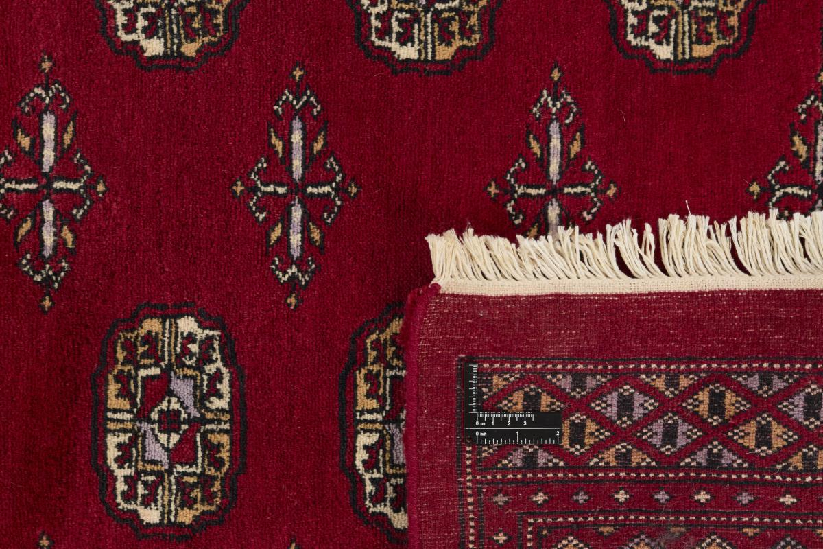 Pakistański Buchara 3ply - 1