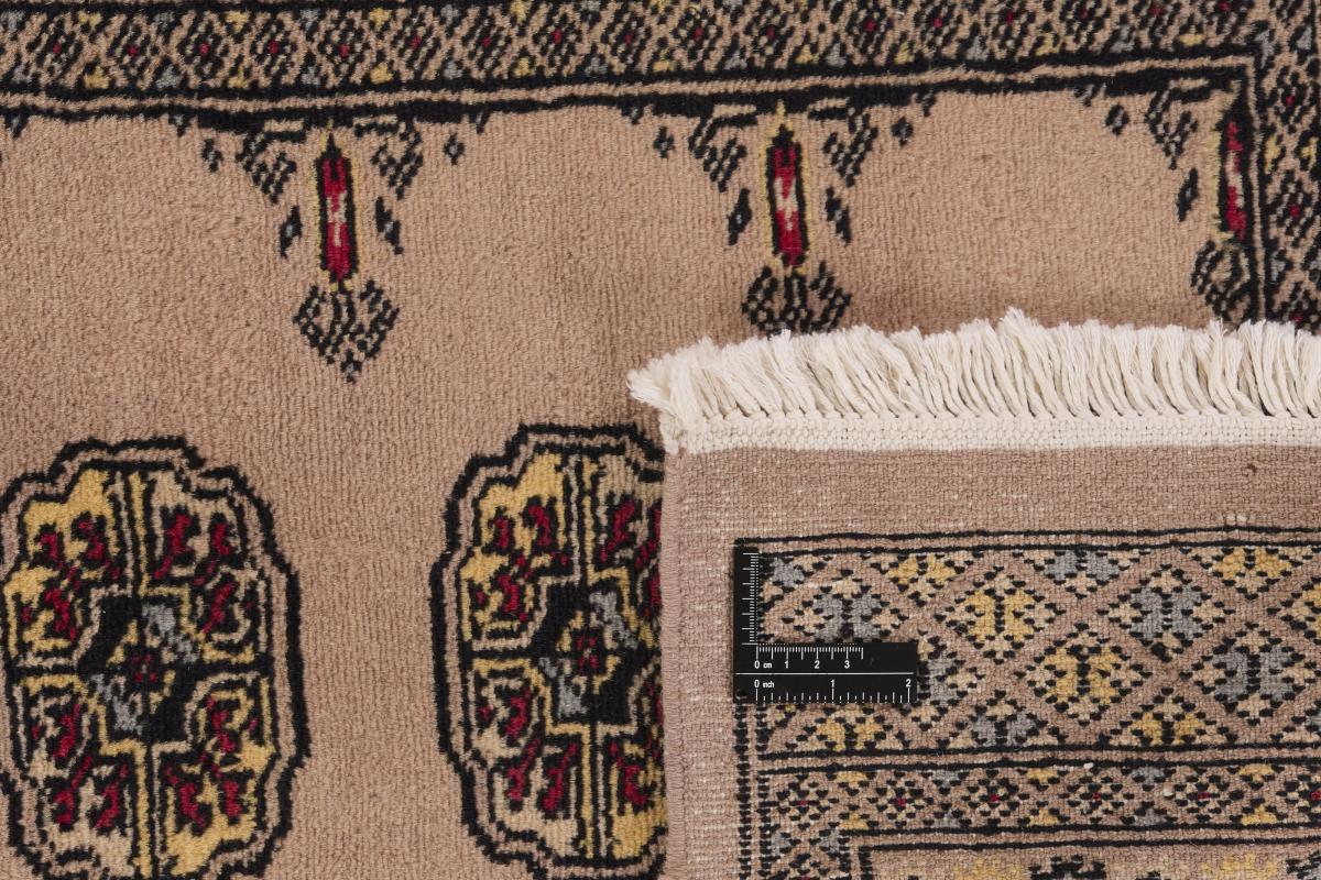 Pakistan Buchara 2ply - 1