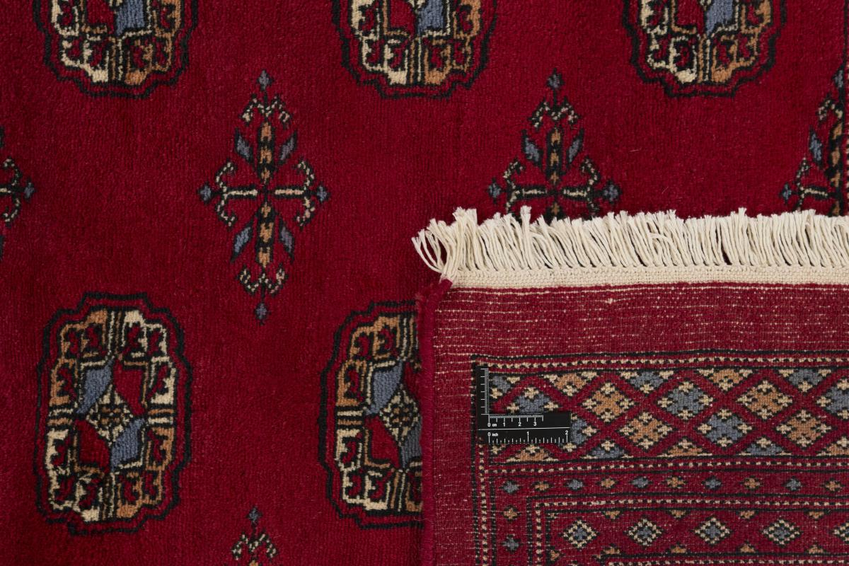 Pakistański Buchara 3ply - 1