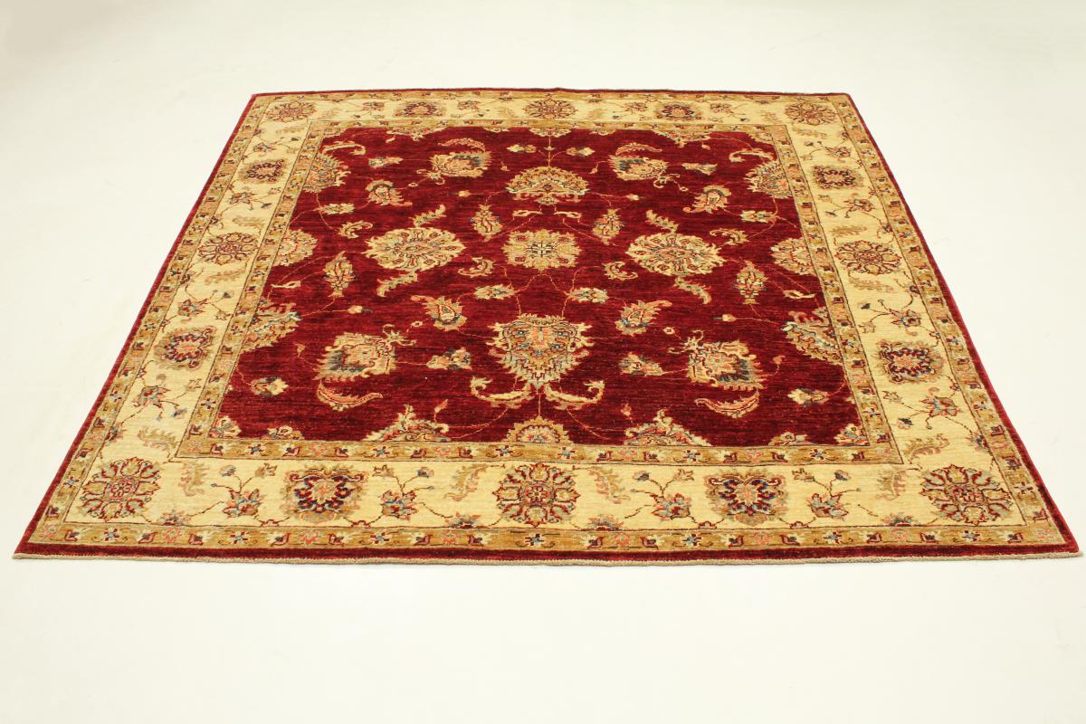 Ziegler Farahan - 1